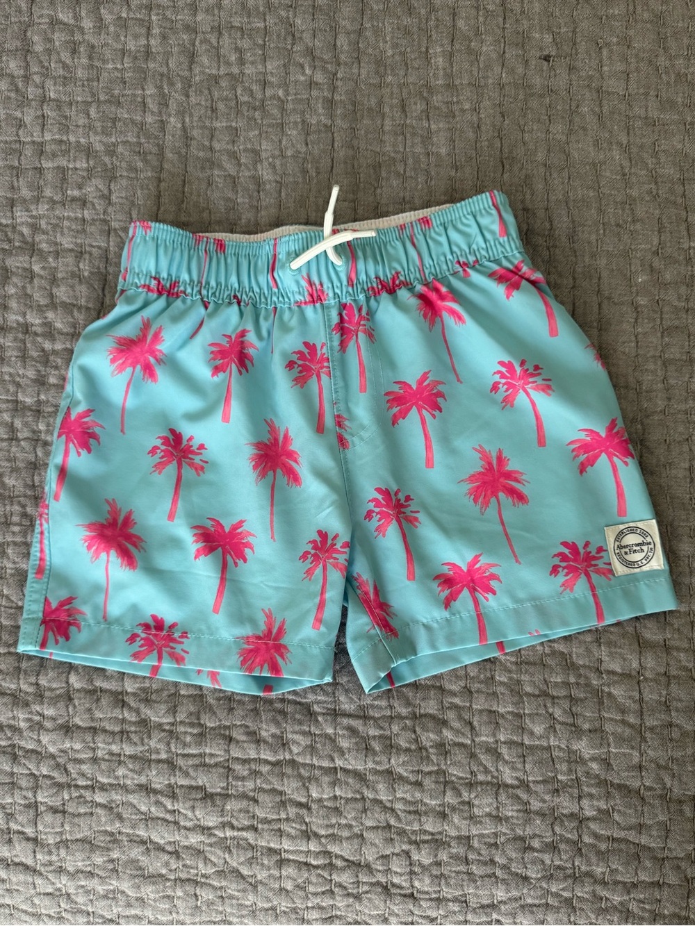 Abercrombie Kids Swim Trunks